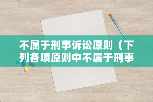 不屬于刑事訴訟原則（下列各項原則中不屬于刑事訴訟基本原則的有）
