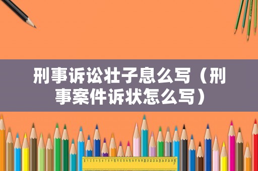 刑事訴訟壯子息么寫（刑事案件訴狀怎么寫）