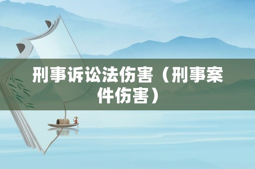 刑事訴訟法傷害（刑事案件傷害）
