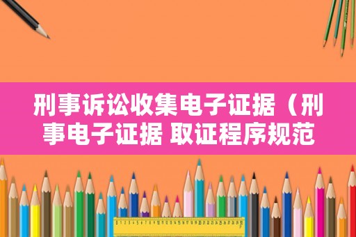 刑事訴訟收集電子證據（刑事電子證據 取證程序規范化）
