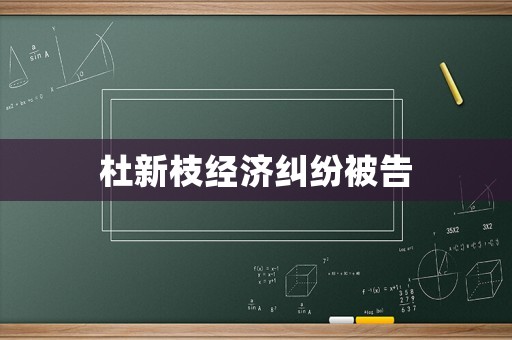 杜新枝經濟糾紛被告