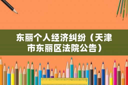東麗個人經(jīng)濟糾紛（天津市東麗區(qū)法院公告）