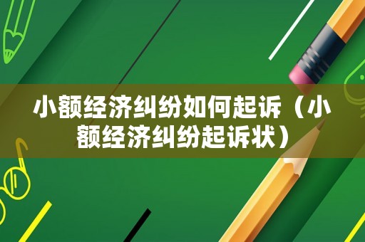 小額經濟糾紛如何起訴（小額經濟糾紛起訴狀）