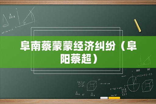 阜南蔡蒙蒙經濟糾紛（阜陽蔡超）