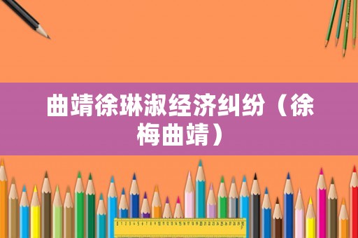 曲靖徐琳淑經濟糾紛（徐梅曲靖）
