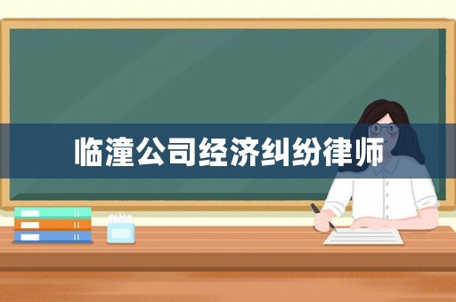 臨潼公司經(jīng)濟(jì)糾紛律師