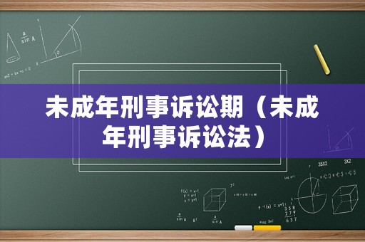 未成年刑事訴訟期（未成年刑事訴訟法）