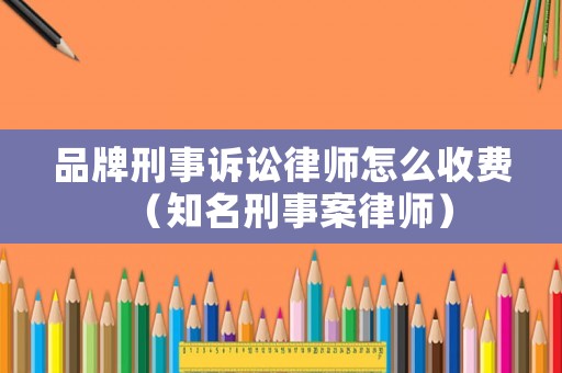 品牌刑事訴訟律師怎么收費（知名刑事案律師）