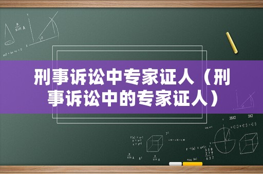 刑事訴訟中專家證人（刑事訴訟中的專家證人）