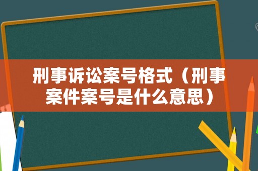 刑事訴訟案號格式（刑事案件案號是什么意思）