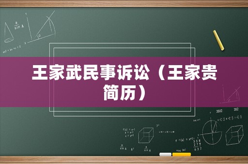 王家武民事訴訟（王家貴簡歷）