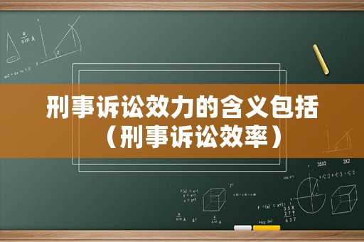 刑事訴訟效力的含義包括（刑事訴訟效率）