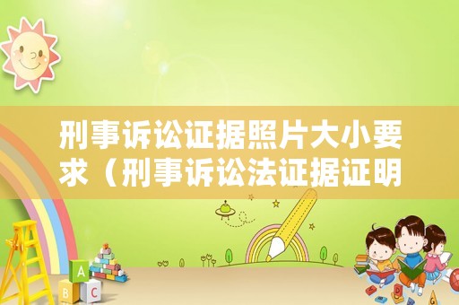 刑事訴訟證據照片大小要求（刑事訴訟法證據證明標準）