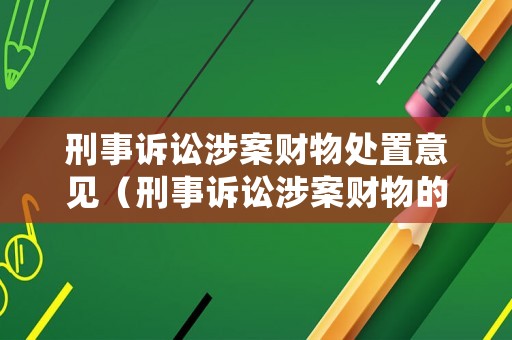 刑事訴訟涉案財物處置意見（刑事訴訟涉案財物的處置）