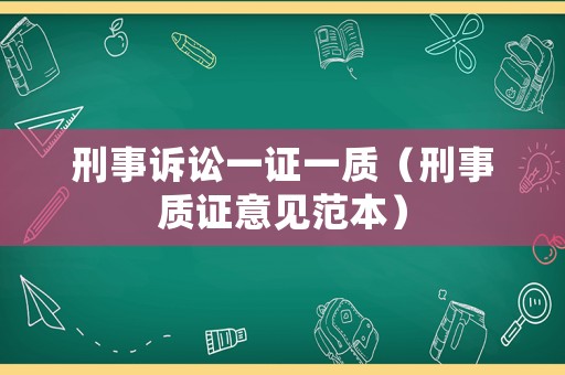 刑事訴訟一證一質(zhì)（刑事質(zhì)證意見范本）