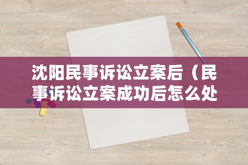 沈陽民事訴訟立案后（民事訴訟立案成功后怎么處理）