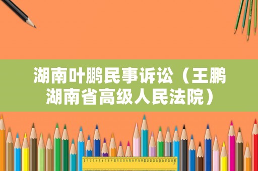 湖南葉鵬民事訴訟（王鵬湖南省高級人民法院）