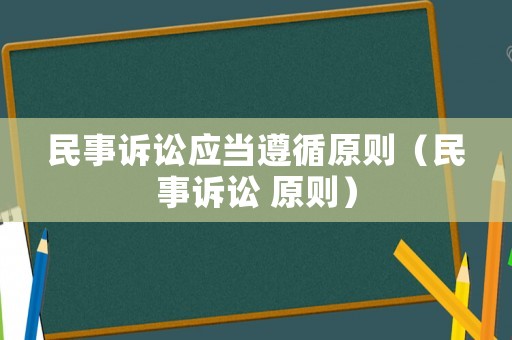 民事訴訟應當遵循原則（民事訴訟 原則）