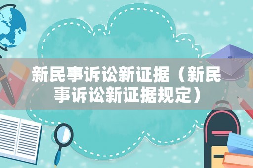 新民事訴訟新證據(jù)（新民事訴訟新證據(jù)規(guī)定）