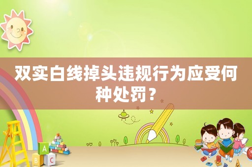 雙實白線掉頭違規行為應受何種處罰？