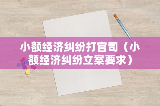 小額經濟糾紛打官司（小額經濟糾紛立案要求）