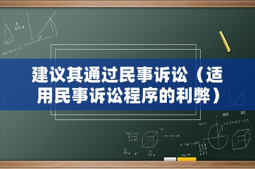 建議其通過民事訴訟（適用民事訴訟程序的利弊）