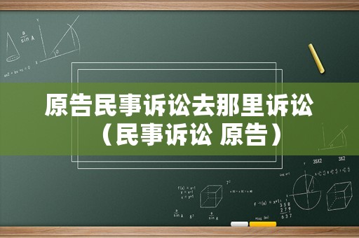 原告民事訴訟去那里訴訟（民事訴訟 原告）