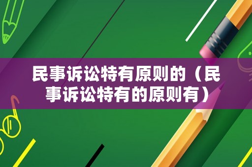 民事訴訟特有原則的（民事訴訟特有的原則有）