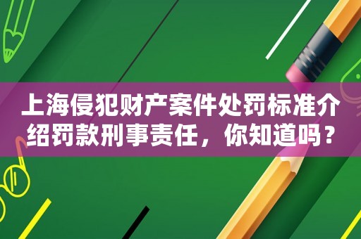 上海侵犯財(cái)產(chǎn)案件處罰標(biāo)準(zhǔn)介紹罰款刑事責(zé)任，你知道嗎？
