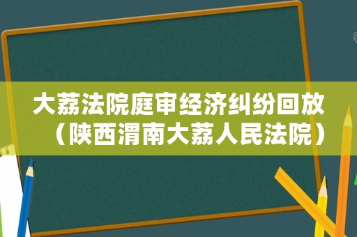大荔法院庭審經(jīng)濟(jì)糾紛回放（陜西渭南大荔人民法院）