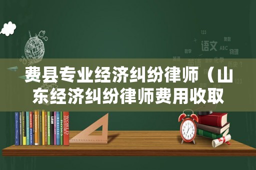 費縣專業經濟糾紛律師（山東經濟糾紛律師費用收取標準）