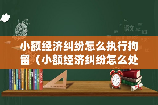 小額經濟糾紛怎么執行拘留（小額經濟糾紛怎么處理的結果）