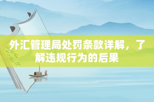 外匯管理局處罰條款詳解，了解違規(guī)行為的后果