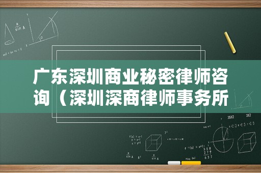 廣東深圳商業(yè)秘密律師咨詢（深圳深商律師事務(wù)所）