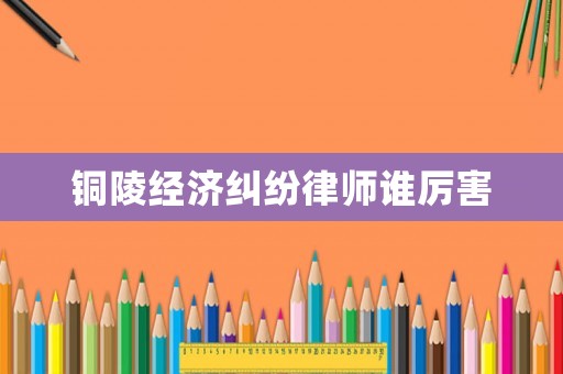 銅陵經(jīng)濟(jì)糾紛律師誰厲害