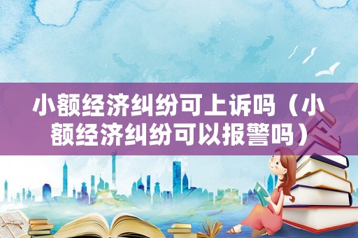 小額經濟糾紛可上訴嗎（小額經濟糾紛可以報警嗎）