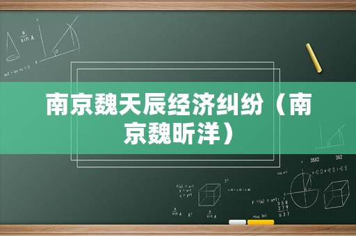 南京魏天辰經濟糾紛（南京魏昕洋）