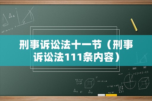 刑事訴訟法十一節（刑事訴訟法111條內容）