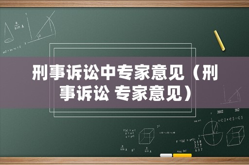 刑事訴訟中專(zhuān)家意見(jiàn)（刑事訴訟 專(zhuān)家意見(jiàn)）