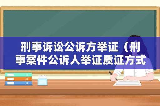 刑事訴訟公訴方舉證（刑事案件公訴人舉證質證方式）