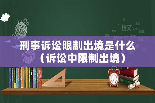 刑事訴訟限制出境是什么（訴訟中限制出境）