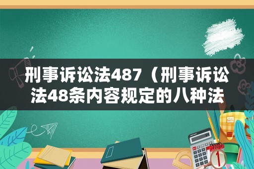 刑事訴訟法487（刑事訴訟法48條內(nèi)容規(guī)定的八種法定證據(jù)形式）