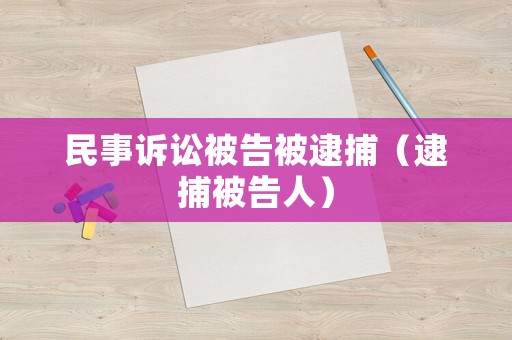 民事訴訟被告被逮捕（逮捕被告人）