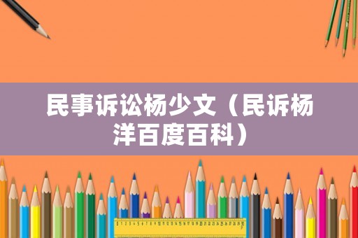 民事訴訟楊少文（民訴楊洋百度百科）