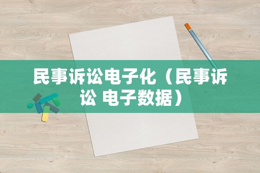 民事訴訟電子化（民事訴訟 電子數(shù)據(jù)）