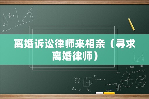 離婚訴訟律師來相親（尋求離婚律師）