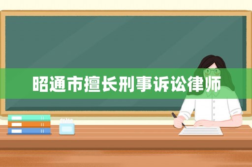 昭通市擅長(zhǎng)刑事訴訟律師