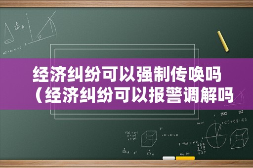 經(jīng)濟(jì)糾紛可以強制傳喚嗎（經(jīng)濟(jì)糾紛可以報警調(diào)解嗎）