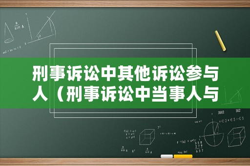 刑事訴訟中其他訴訟參與人（刑事訴訟中當事人與其他訴訟參與人的區別）
