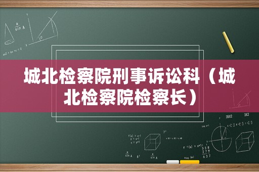 城北檢察院刑事訴訟科（城北檢察院檢察長(zhǎng)）